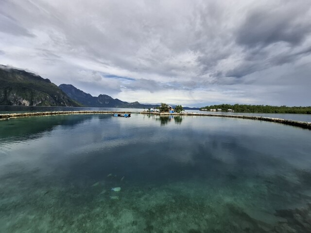 Seram medium